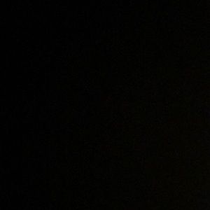 Meet your Posher, Riley